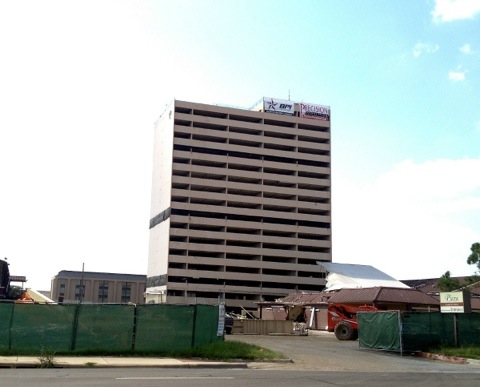 The Century Tree Reader
