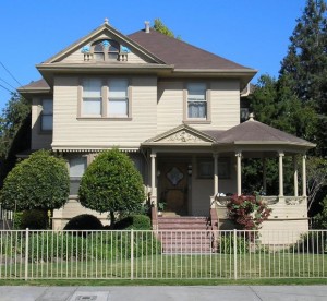 The Century Tree Reader
