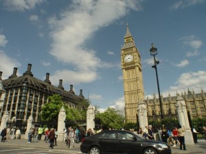 The Century Tree Reader